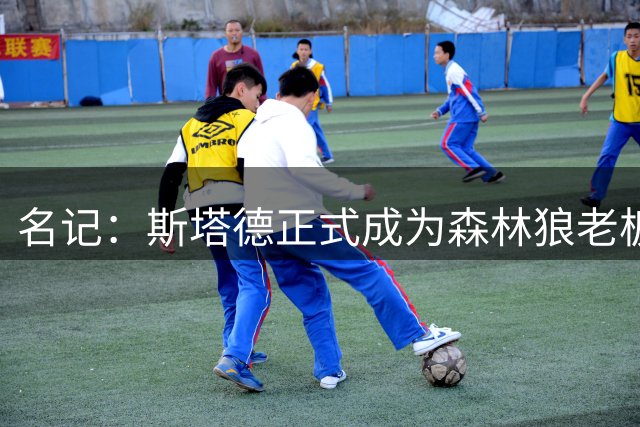 名记：斯塔德正式成为森林狼老板要到1月 他与总裁康奈利关系密切