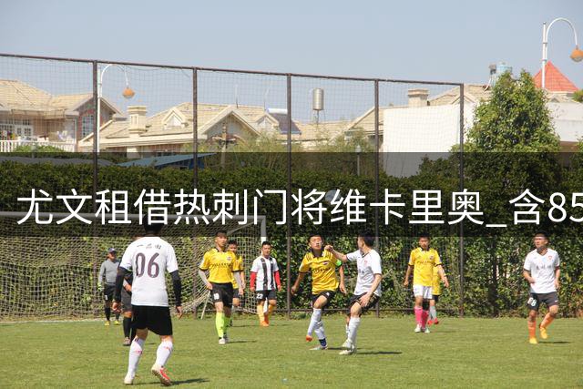 尤文租借热刺门将维卡里奥 含850万镑买断条款